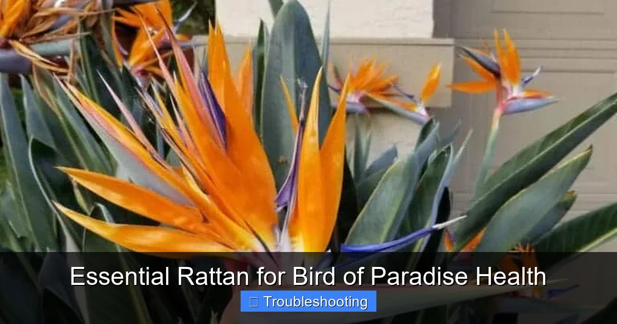 Essential Rattan for Bird of Paradise Health