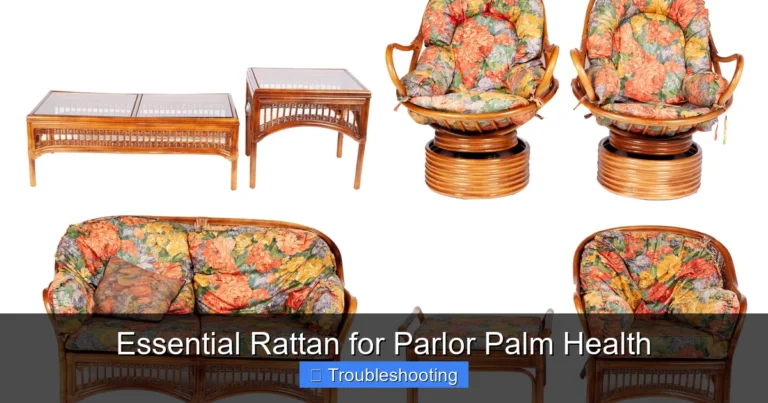 Essential Rattan for Parlor Palm Health