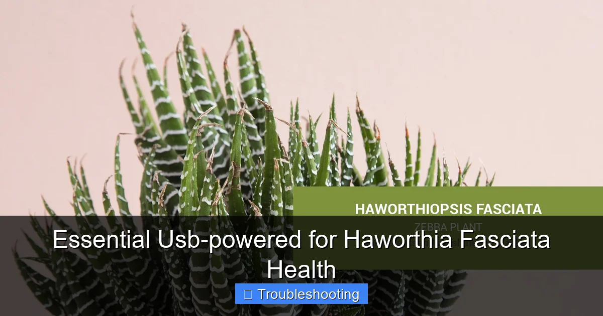 Essential Usb-powered for Haworthia Fasciata Health