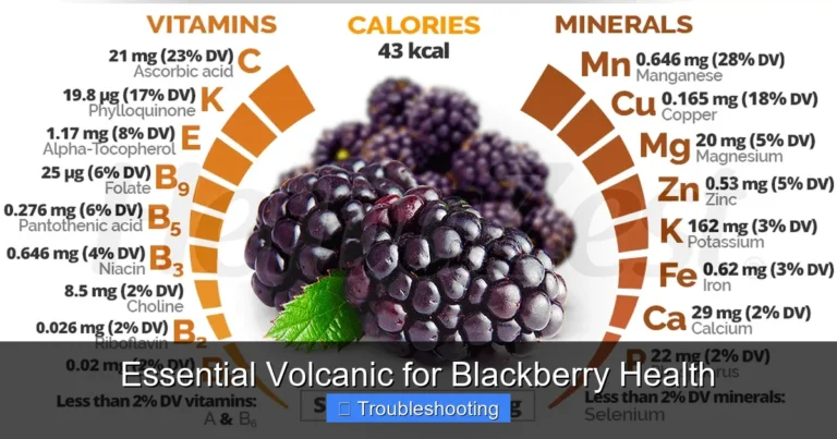 Essential Volcanic for Blackberry Health