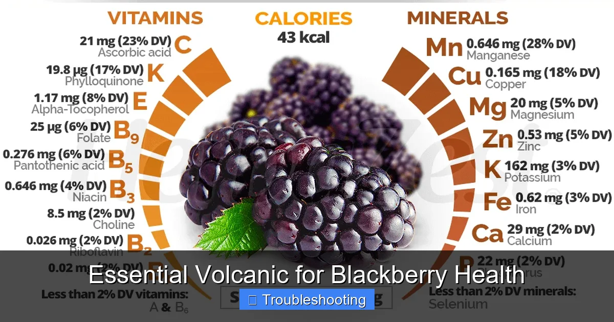 Essential Volcanic for Blackberry Health