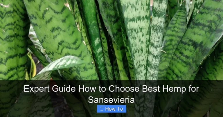 Expert Guide How to Choose Best Hemp for Sansevieria