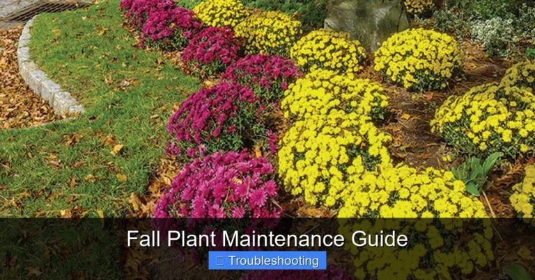 Fall Plant Maintenance Guide