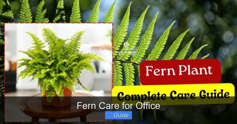Fern Care for Office