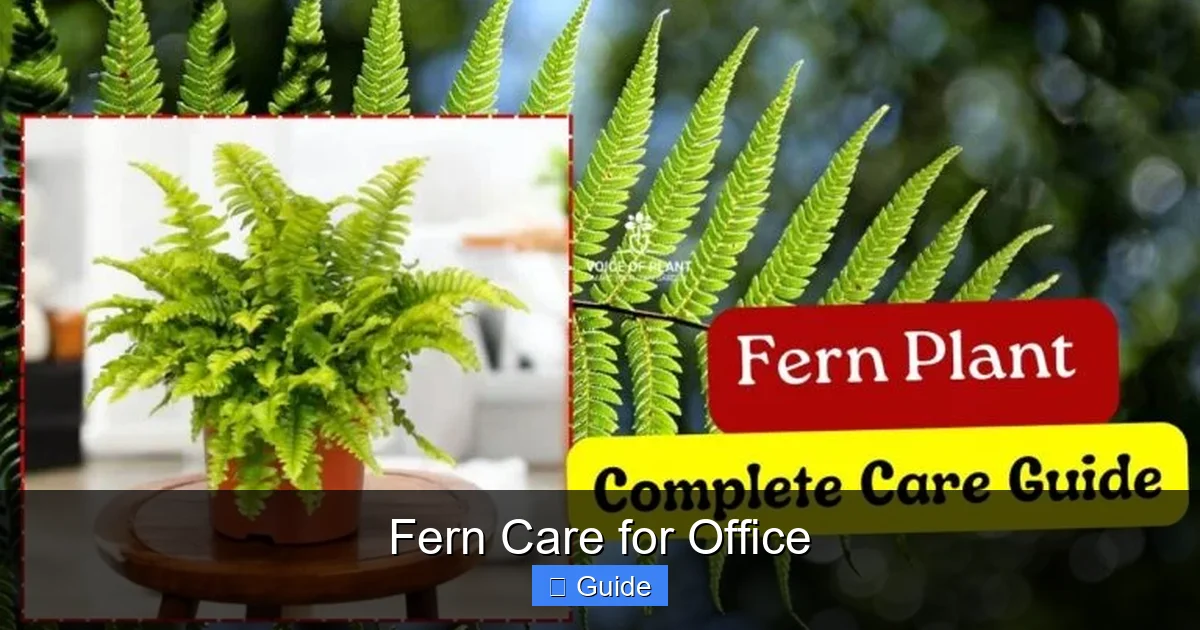 Fern Care for Office