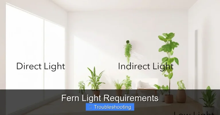 Fern Light Requirements