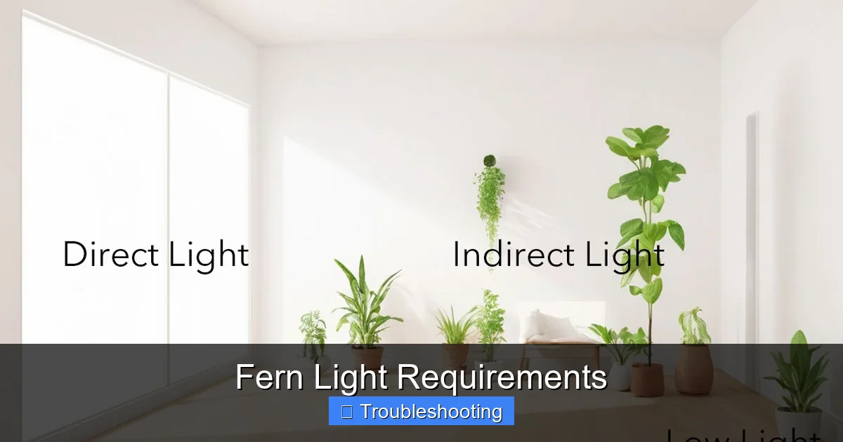 Fern Light Requirements