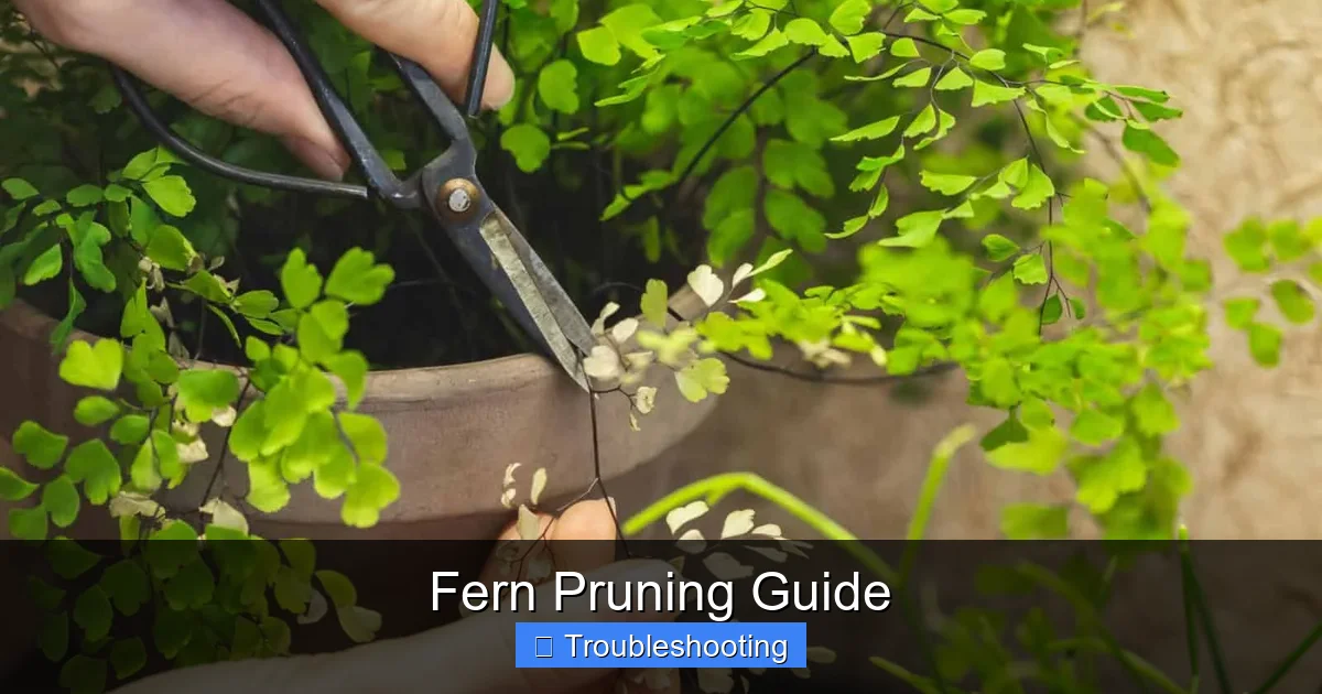 Fern Pruning Guide