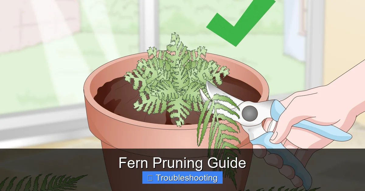 Fern Pruning Guide