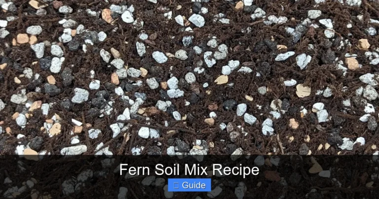 Fern Soil Mix Recipe