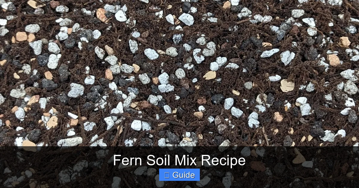 Fern Soil Mix Recipe
