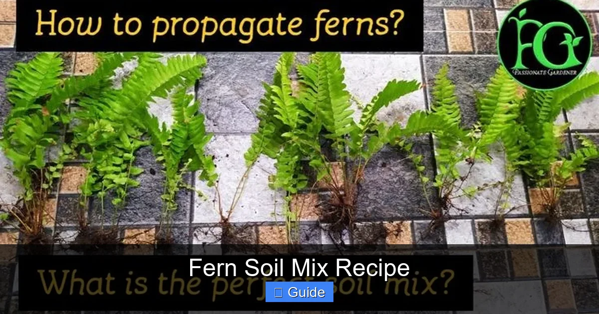 Fern Soil Mix Recipe