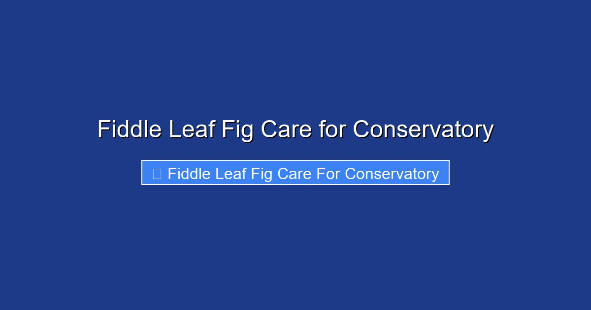 Fiddle Leaf Fig Care for Conservatory