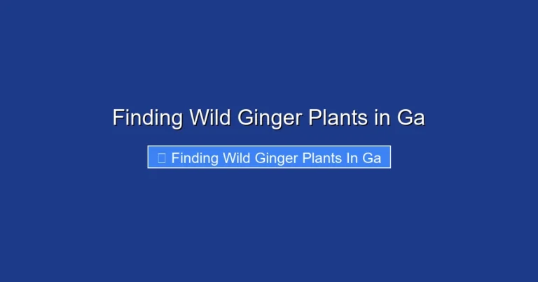 Finding Wild Ginger Plants in Ga