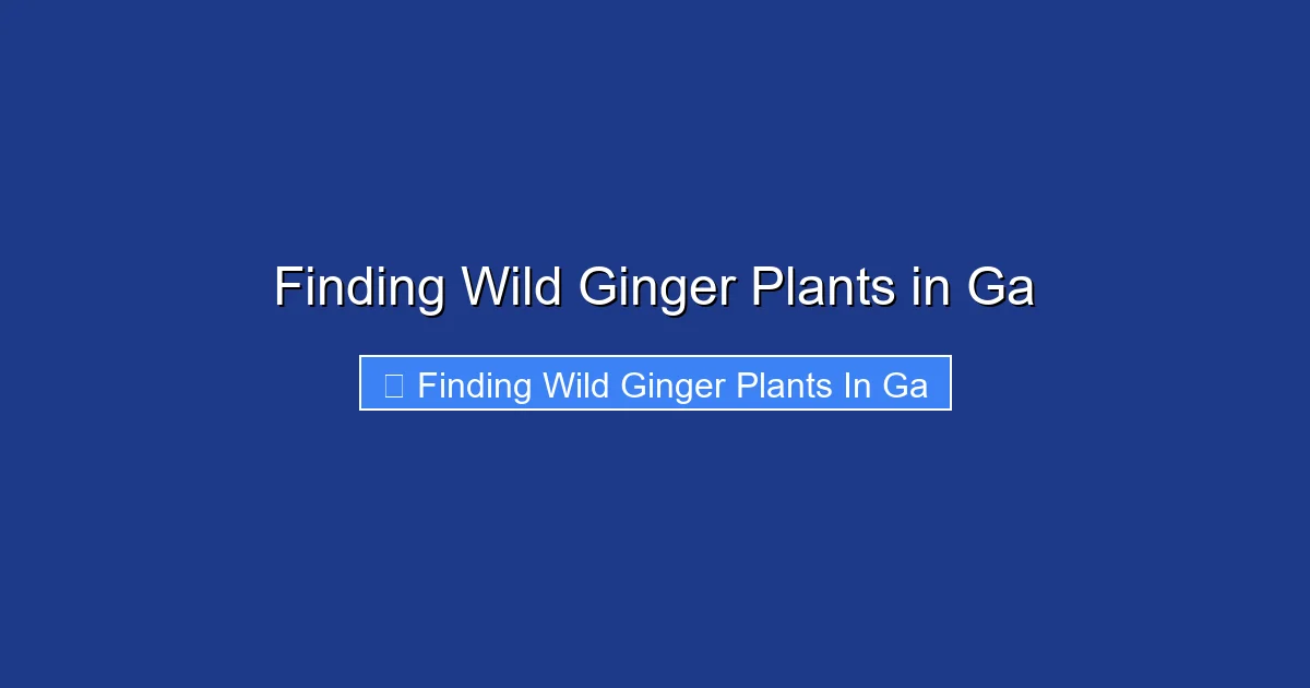 Finding Wild Ginger Plants in Ga