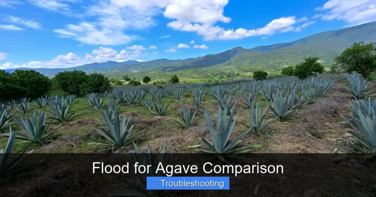 Flood for Agave Comparison