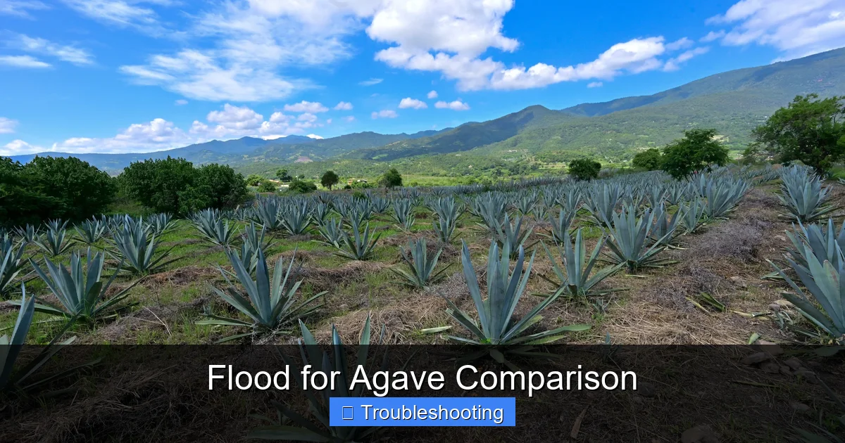Flood for Agave Comparison