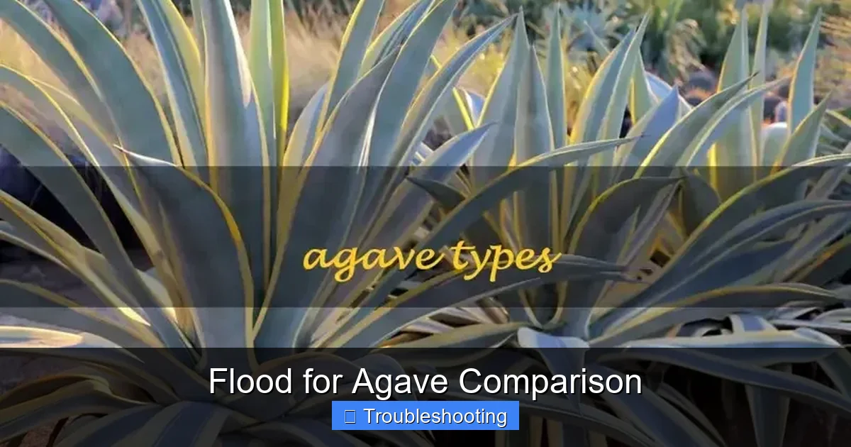Flood for Agave Comparison