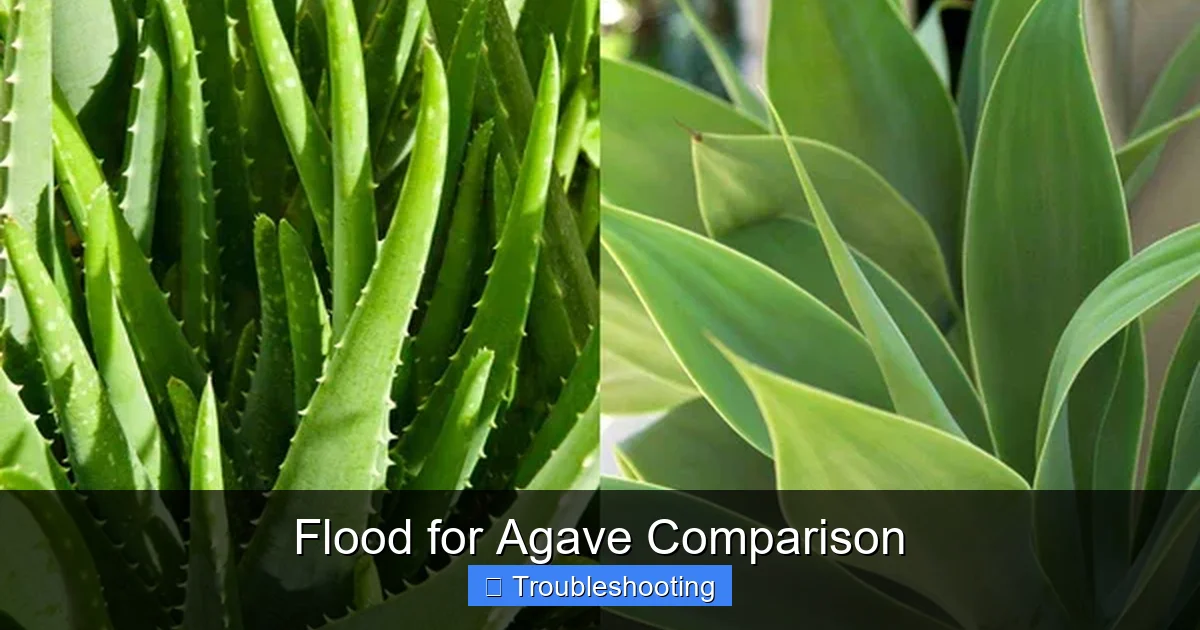 Flood for Agave Comparison