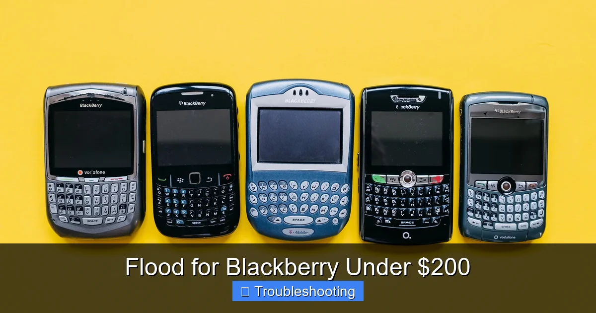 Flood for Blackberry Under $200