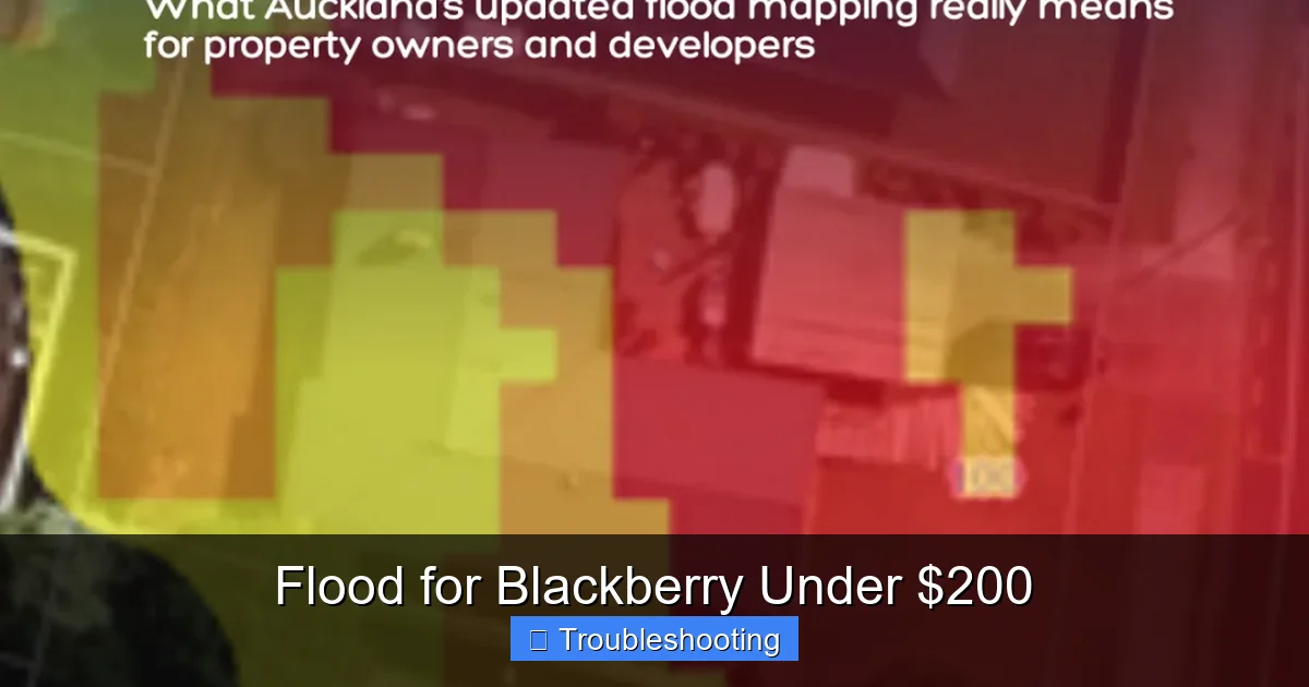 Flood for Blackberry Under $200