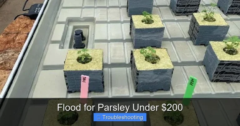 Flood for Parsley Under $200
