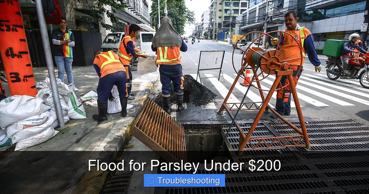 Flood for Parsley Under $200