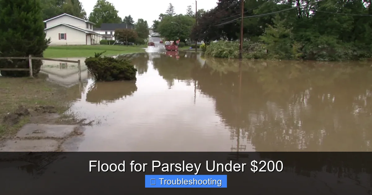 Flood for Parsley Under $200