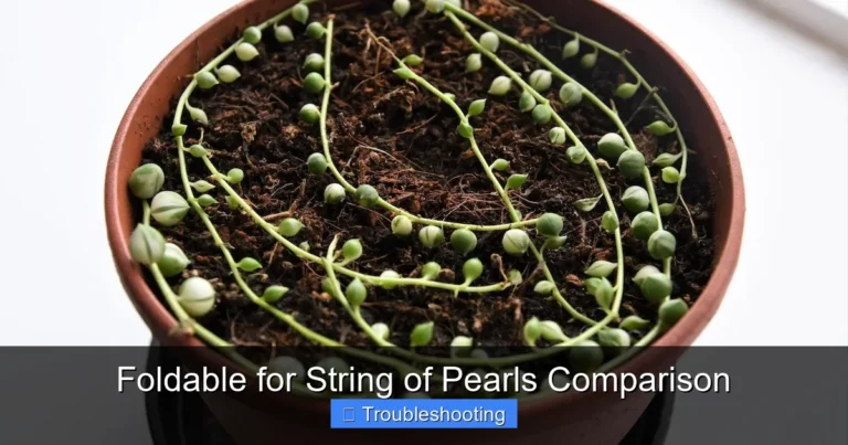 Foldable for String of Pearls Comparison
