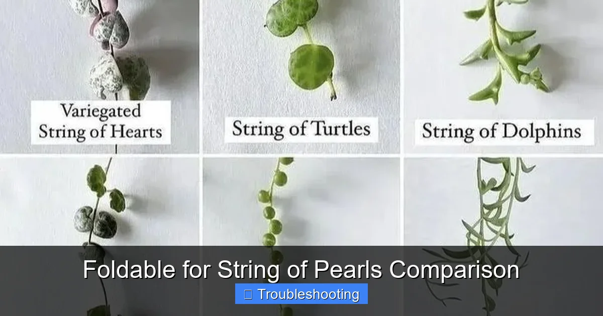 Foldable for String of Pearls Comparison