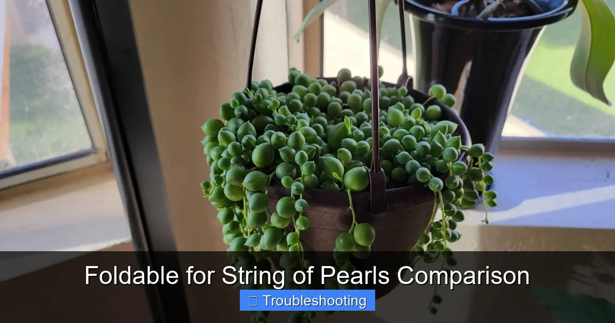 Foldable for String of Pearls Comparison