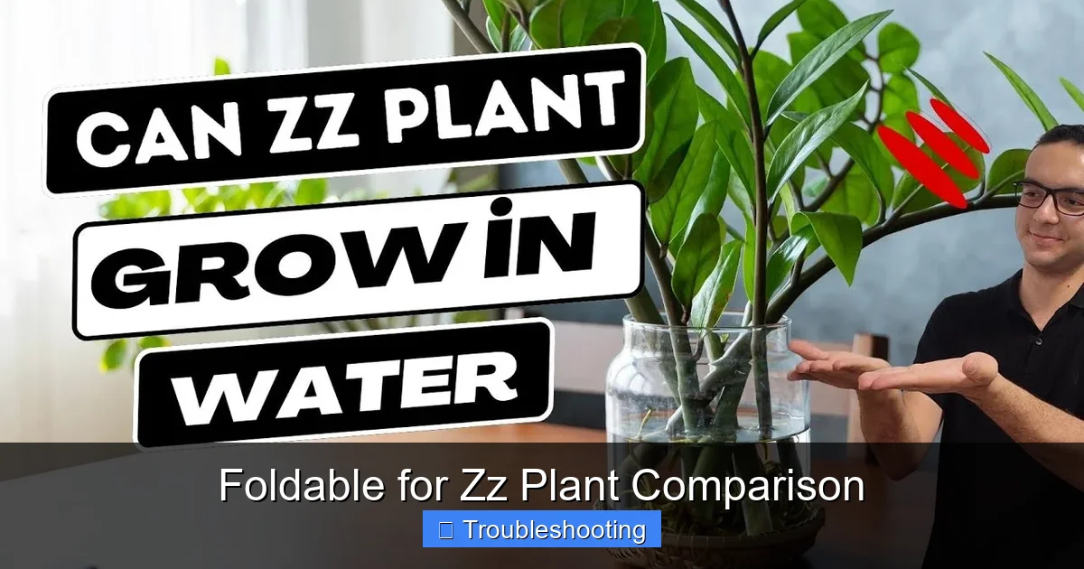Foldable for Zz Plant Comparison