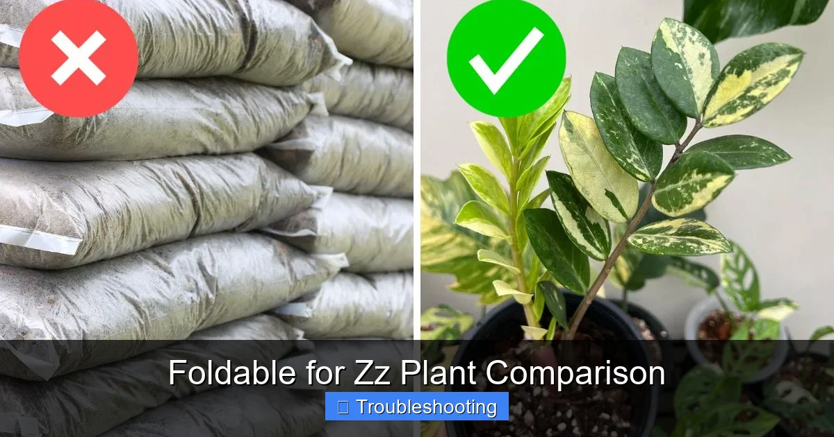 Foldable for Zz Plant Comparison