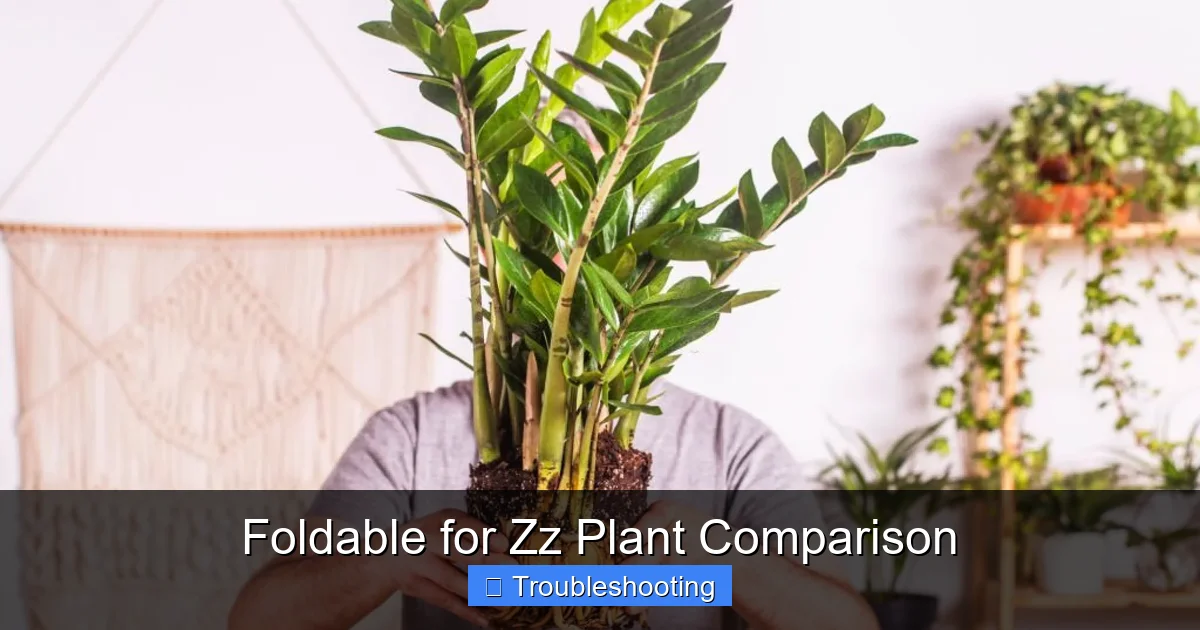 Foldable for Zz Plant Comparison