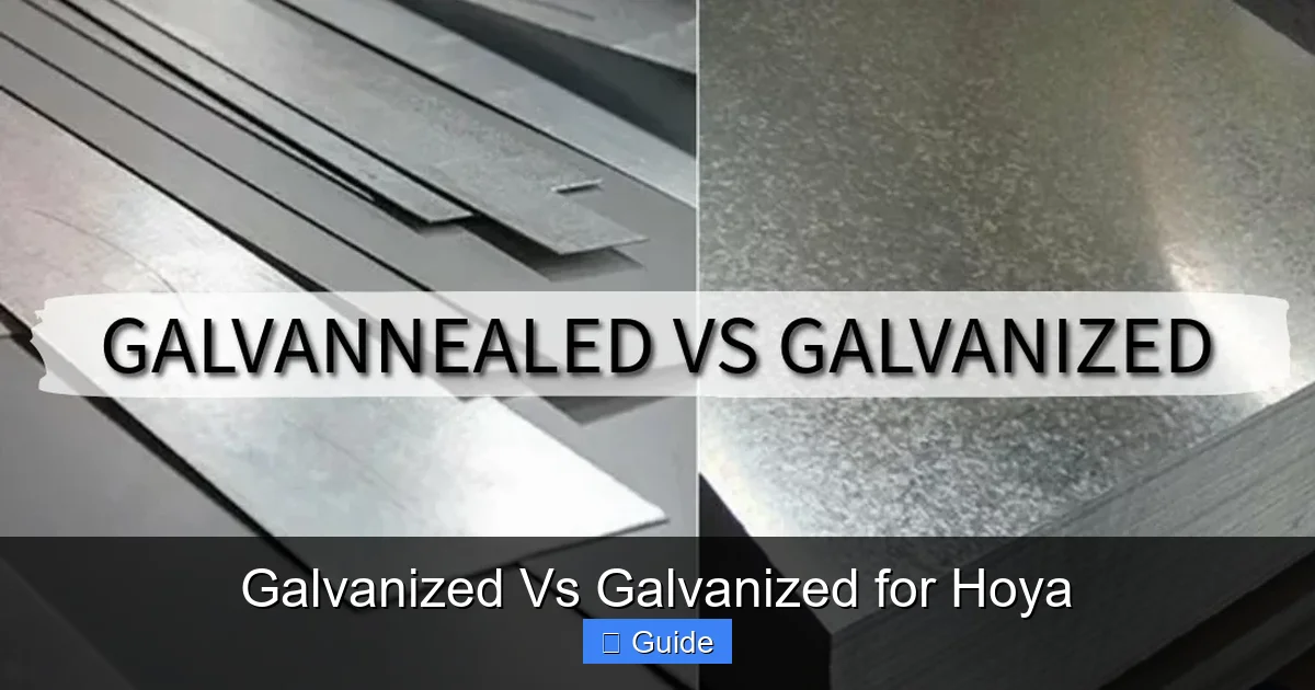 Galvanized Vs Galvanized for Hoya