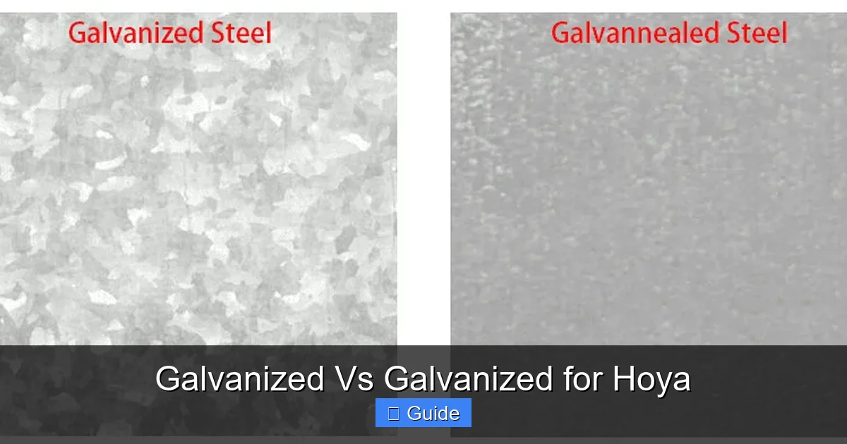 Galvanized Vs Galvanized for Hoya
