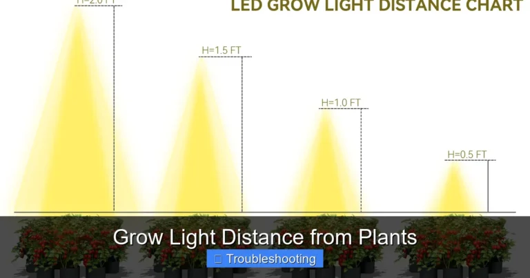 Grow Light Distance from Plants