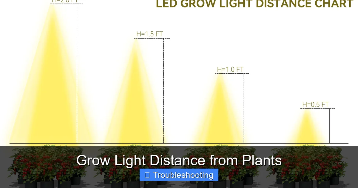 Grow Light Distance from Plants