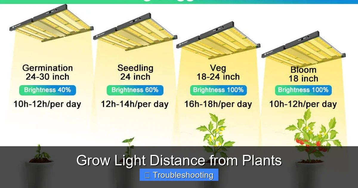 Grow Light Distance from Plants