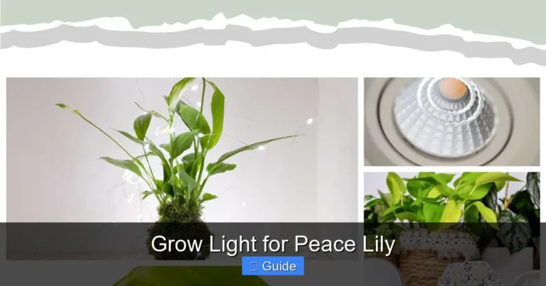 Grow Light for Peace Lily