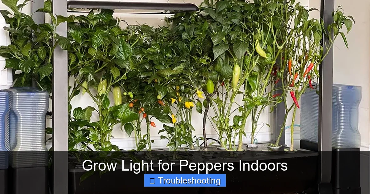 Grow Light for Peppers Indoors