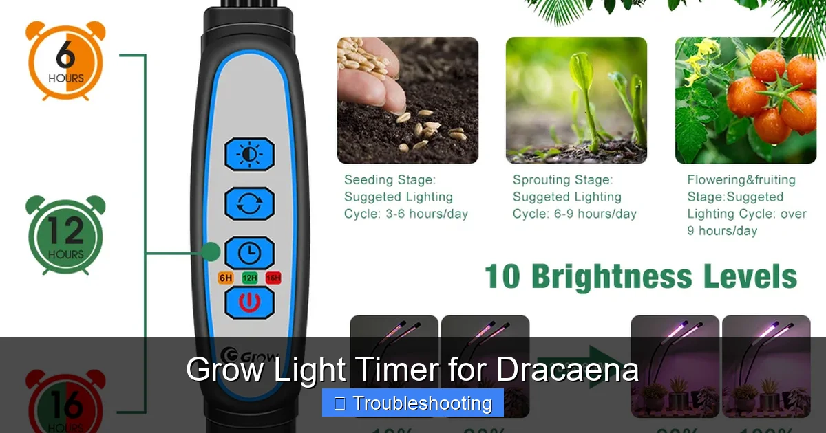 Grow Light Timer for Dracaena