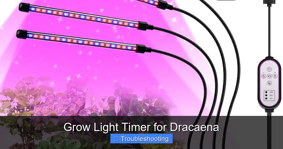 Grow Light Timer for Dracaena