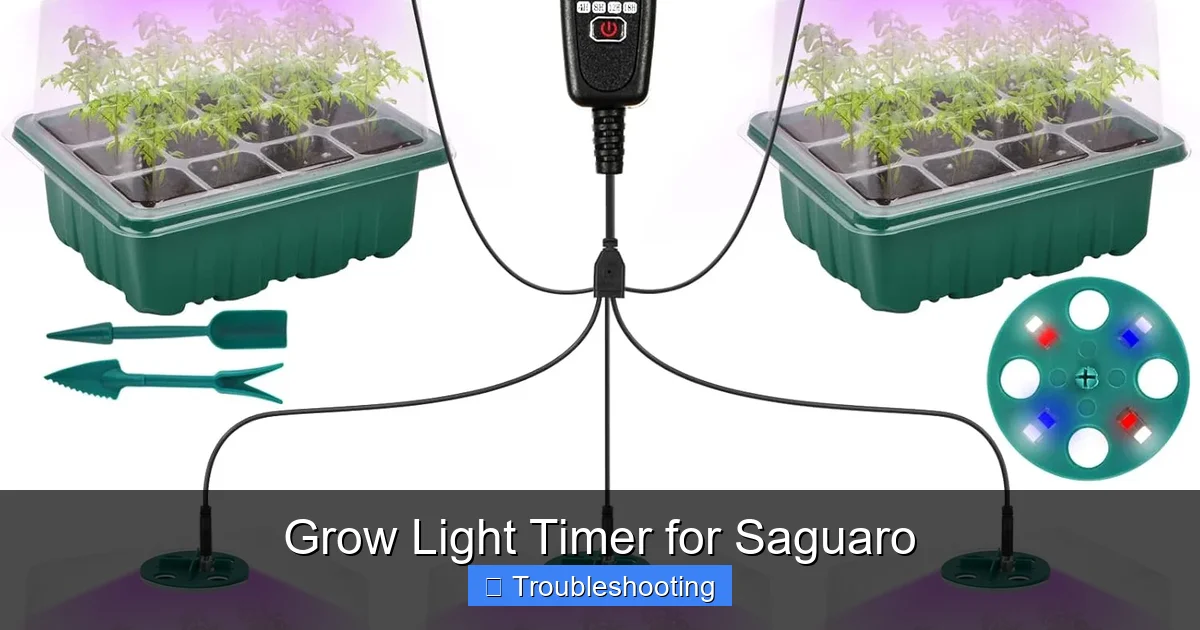 Grow Light Timer for Saguaro