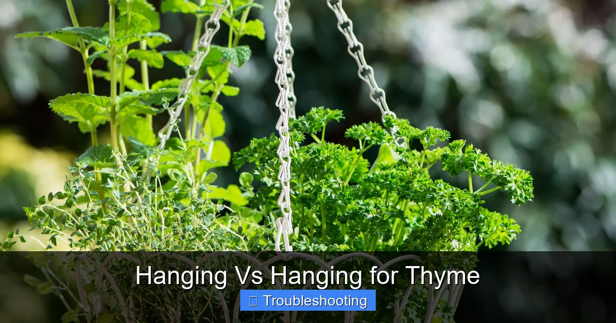 Hanging Vs Hanging for Thyme