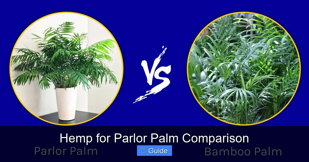 Hemp for Parlor Palm Comparison