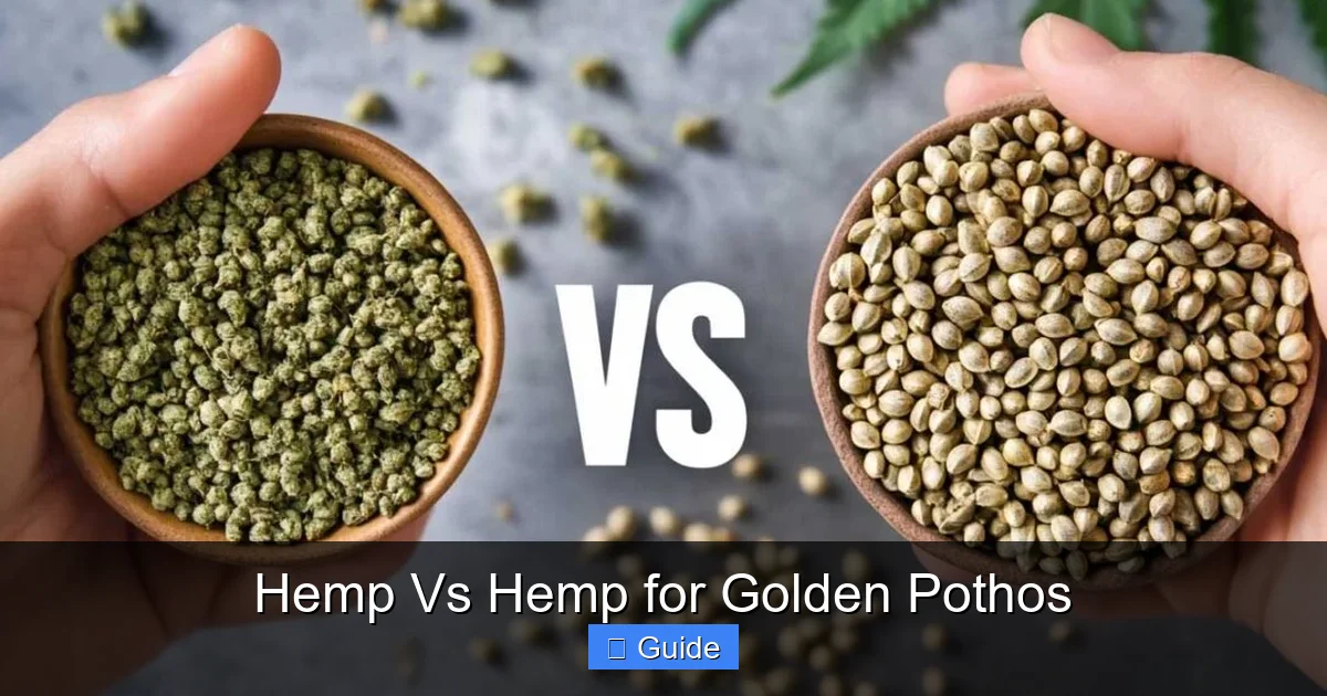 Hemp Vs Hemp for Golden Pothos