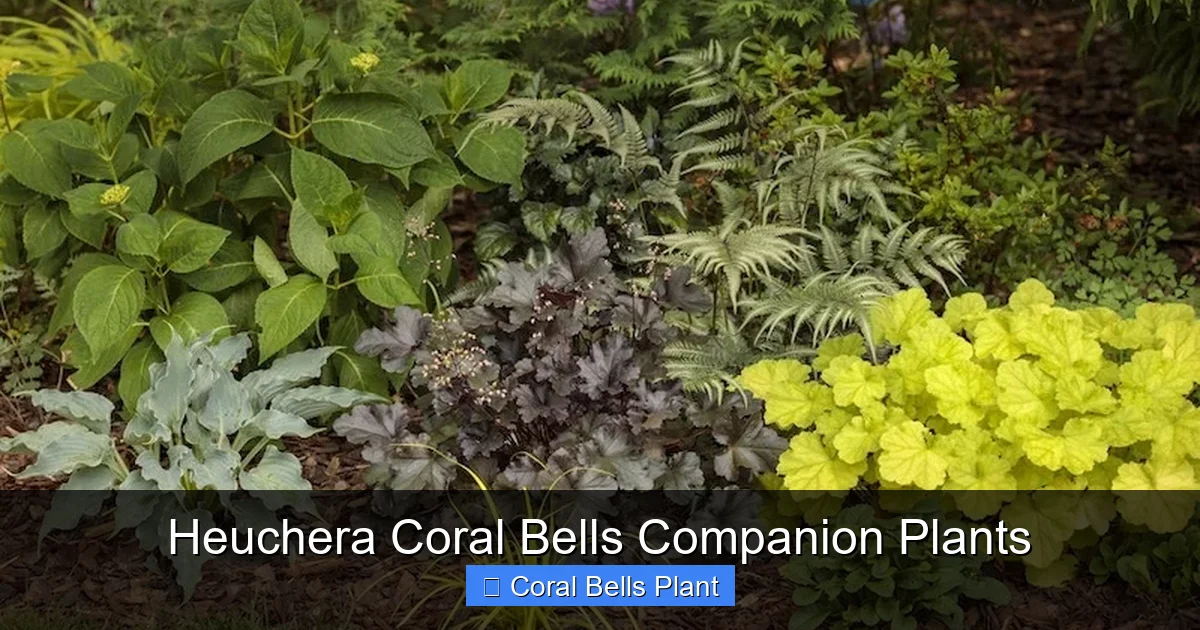 Heuchera Coral Bells Companion Plants
