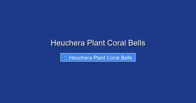 Heuchera Plant Coral Bells