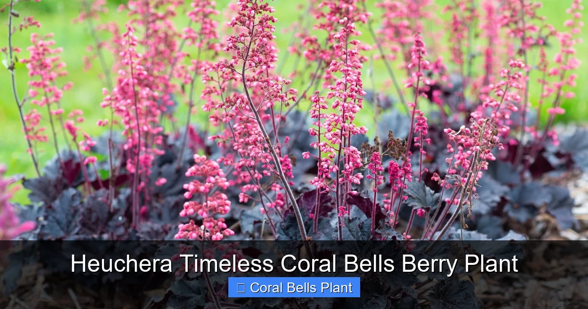 Heuchera Timeless Coral Bells Berry Plant